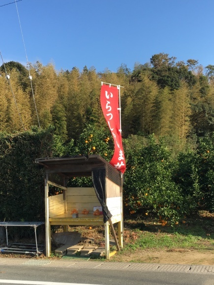 c0344679_19020870.jpeg