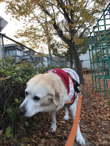 f0315081_17004475.jpeg