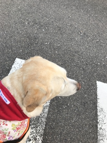 f0315081_17033117.jpeg