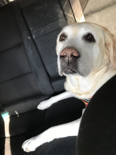 f0315081_17042279.jpeg