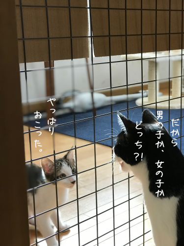 a0216583_19431980.png