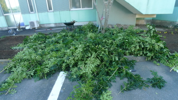 c0212083_17363257.jpg