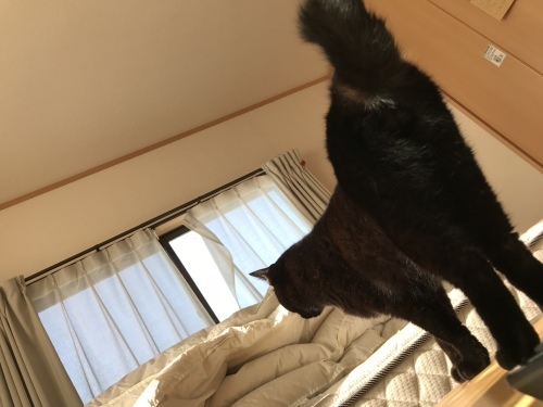 c0340786_19164309.jpeg