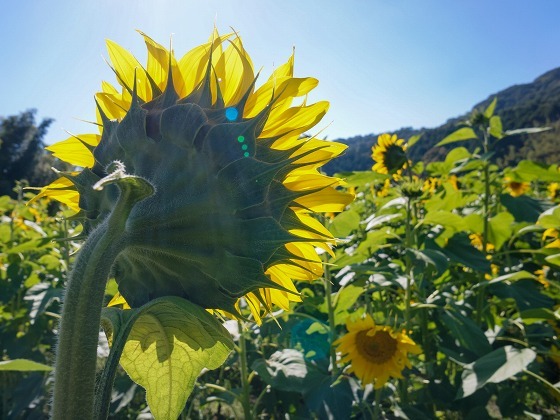 e0176993_09260183.jpg