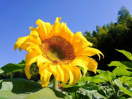 e0176993_09260191.jpg