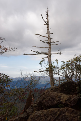 e0366896_09123447.jpg