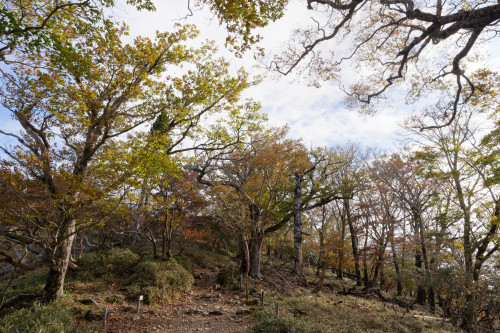 e0366896_09134363.jpg