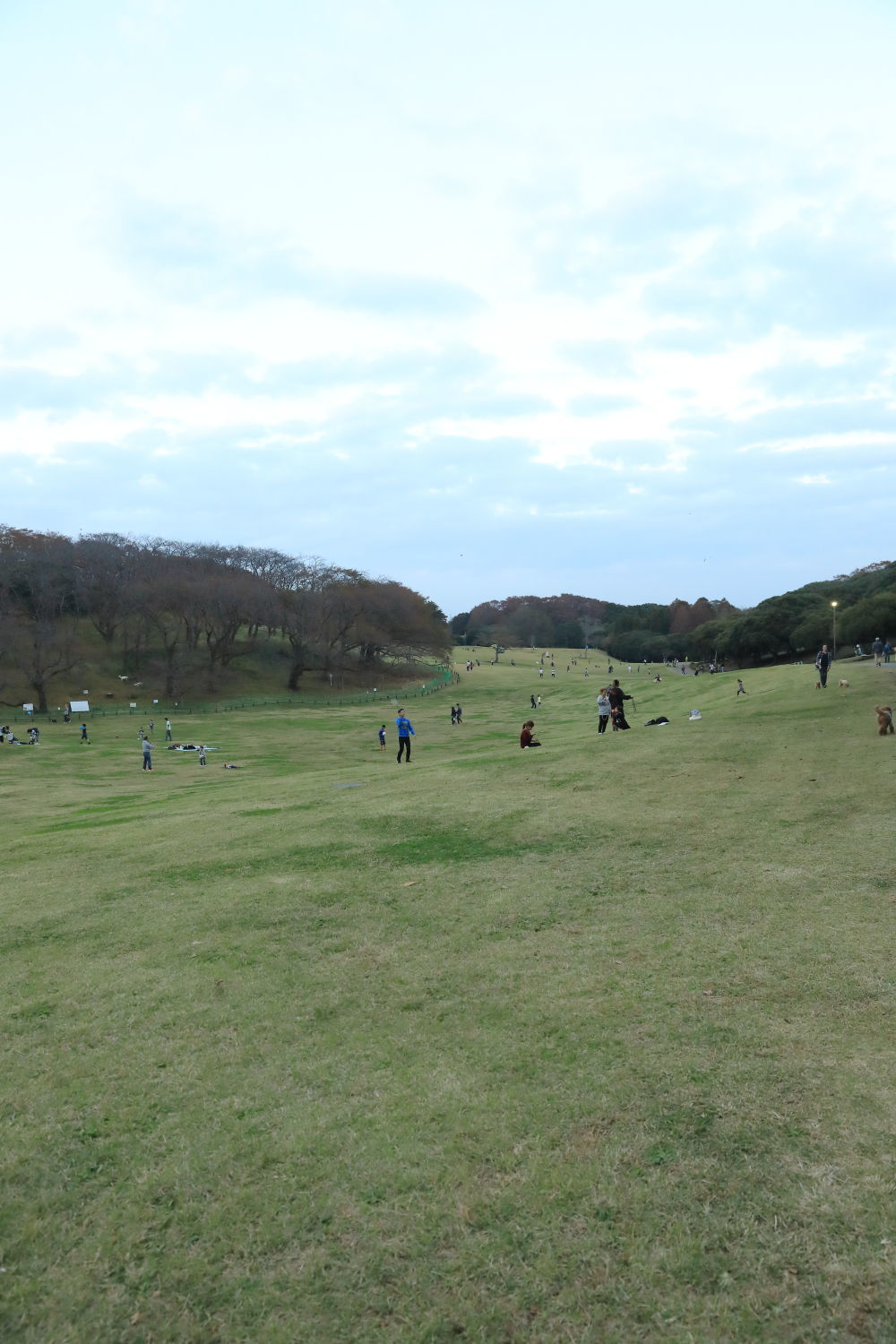 根岸森林公園へ_b0275998_22363076.jpg