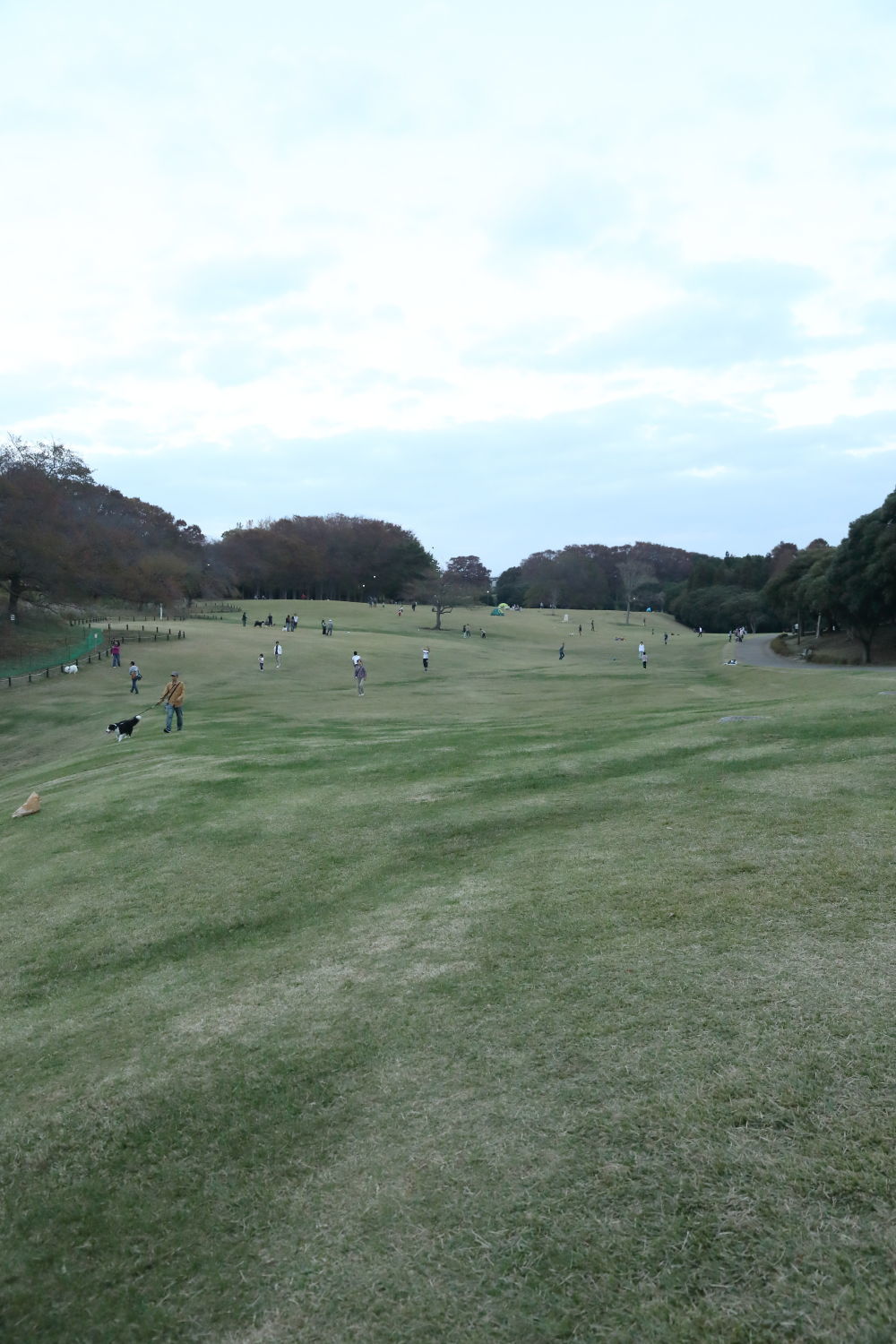 根岸森林公園へ_b0275998_22363428.jpg