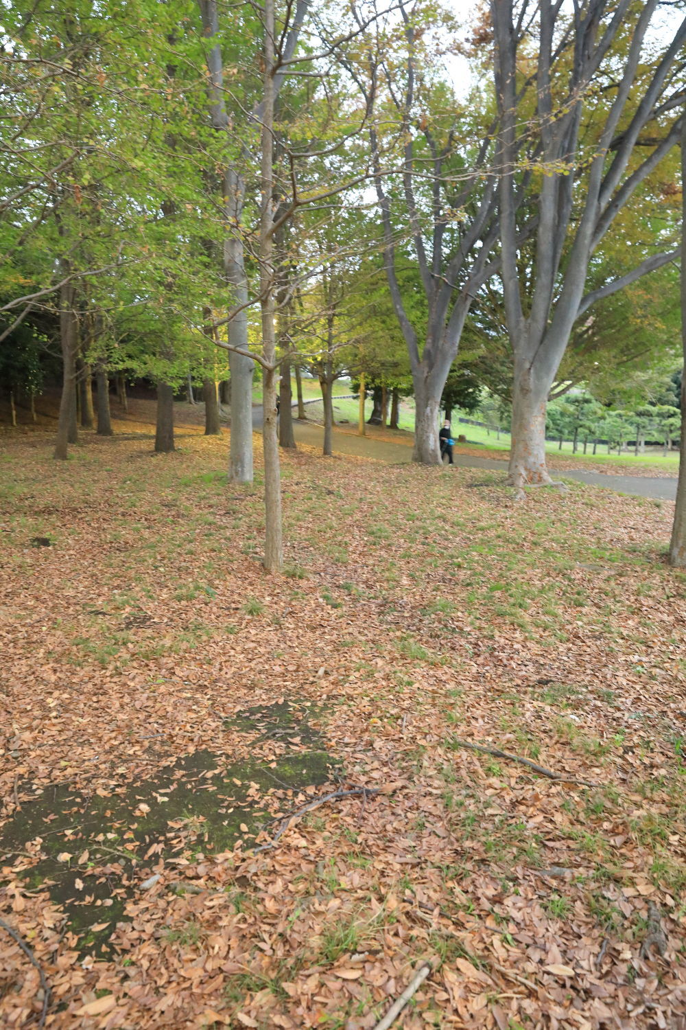 b0275998_22400900.jpg