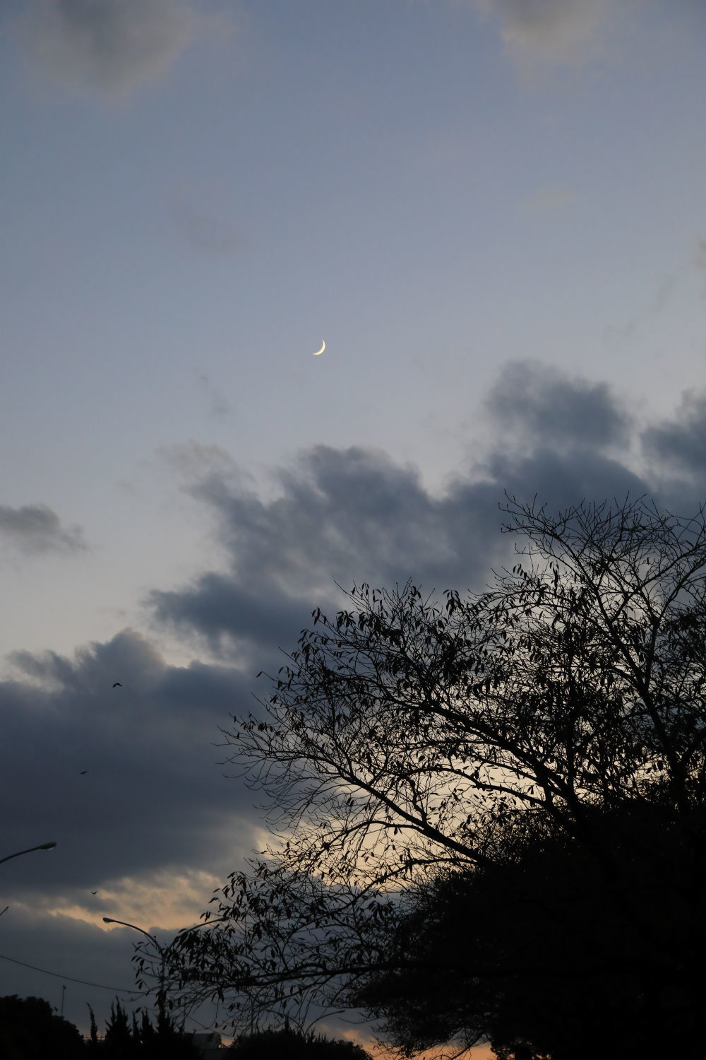 b0275998_22401152.jpg