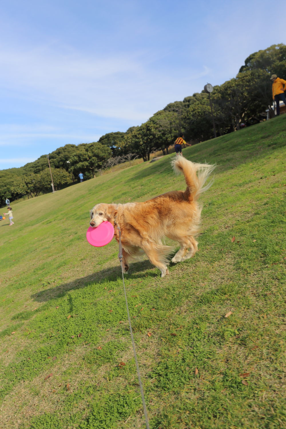 根岸森林公園へ_b0275998_23144683.jpg