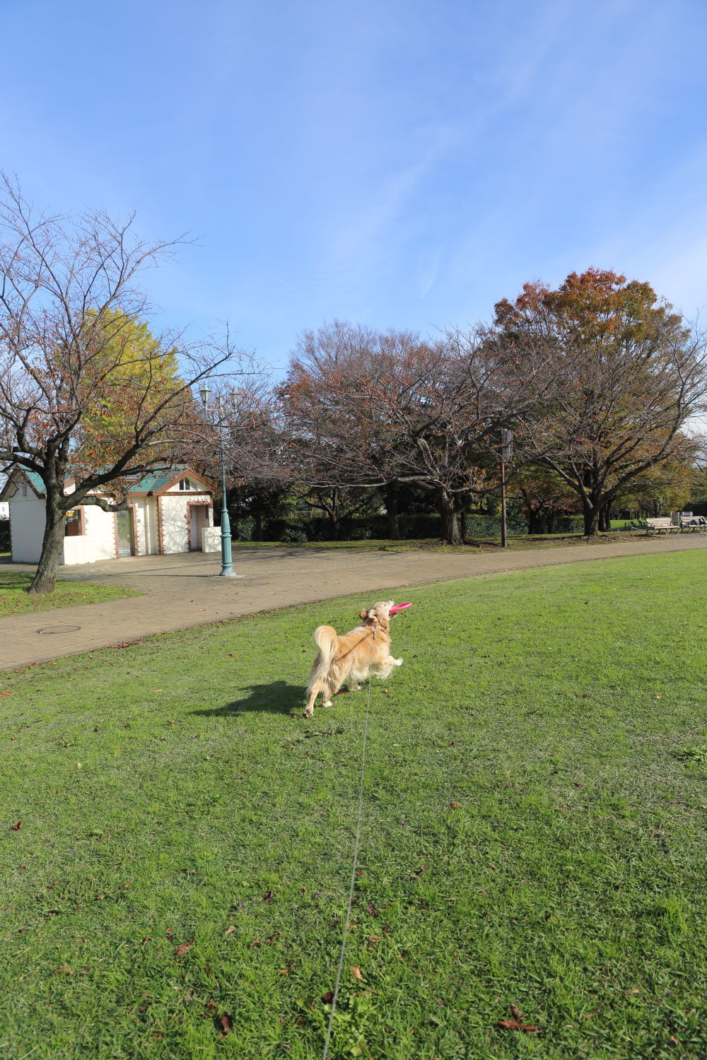 根岸森林公園へ_b0275998_23144978.jpg