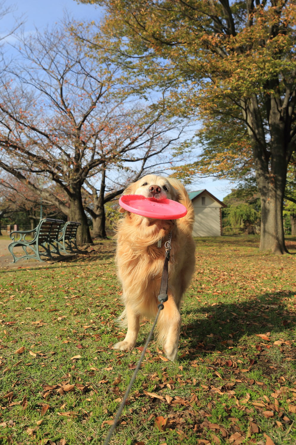 根岸森林公園へ_b0275998_23145526.jpg