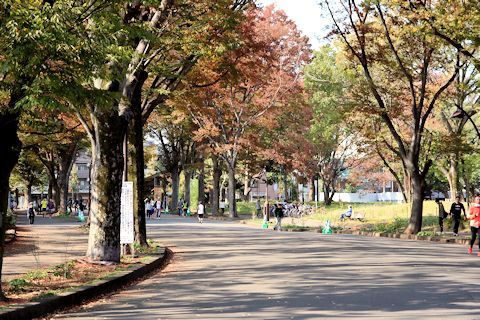 c0090198_17351370.jpg