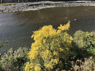 f0308898_18375788.jpg