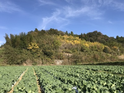 f0308898_18523400.jpg