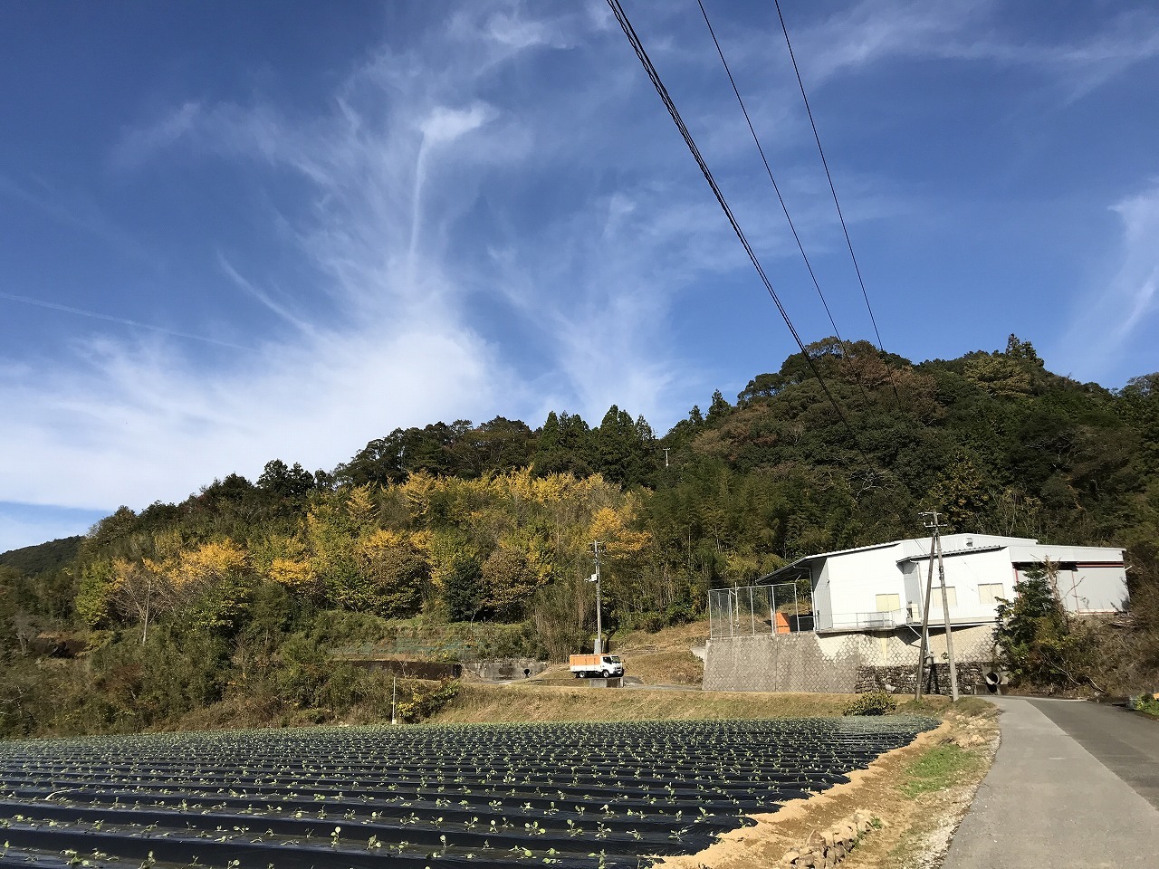f0308898_18533200.jpg