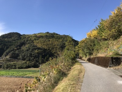 f0308898_18534844.jpg
