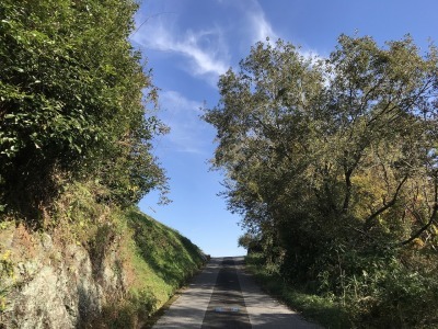 f0308898_18535826.jpg