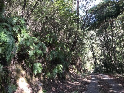 f0308898_18561867.jpg