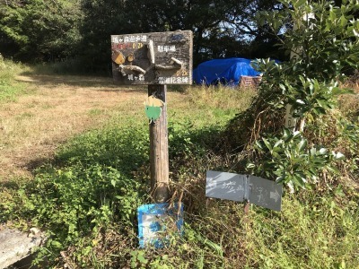 f0308898_19034578.jpg