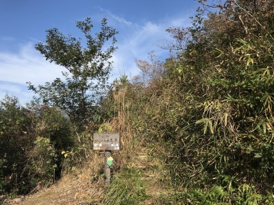 f0308898_19072694.jpg