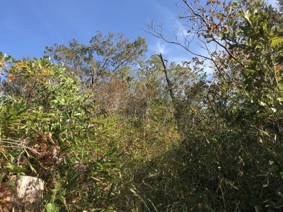 f0308898_19073606.jpg