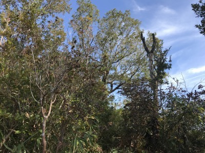 f0308898_19074900.jpg