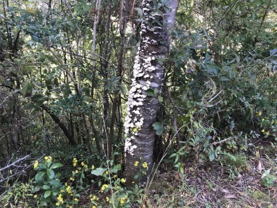 f0308898_19125348.jpg