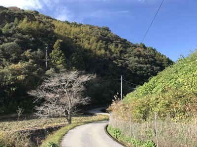 f0308898_19130106.jpg