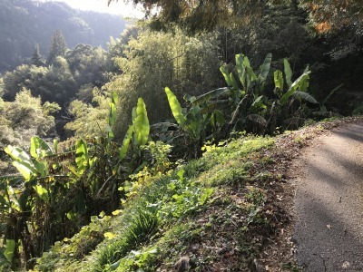 f0308898_19140719.jpg