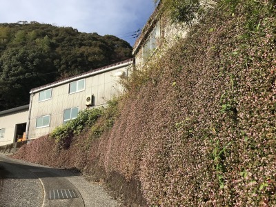 f0308898_19142560.jpg