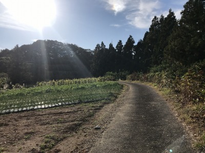 f0308898_19172802.jpg