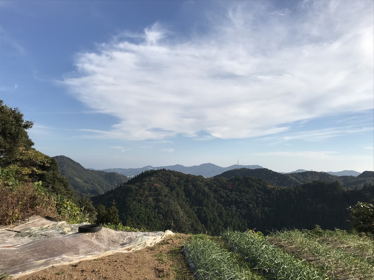 f0308898_19175370.jpg