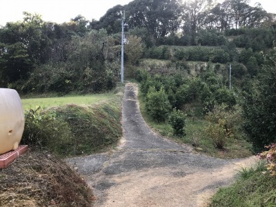 f0308898_19180373.jpg