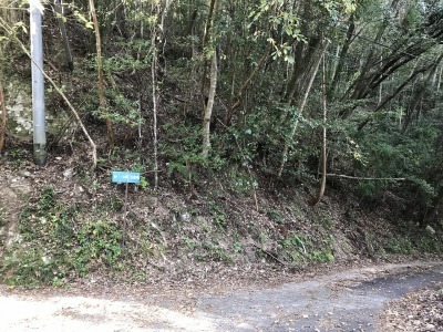 f0308898_19182188.jpg