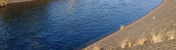 f0266202_07074107.jpg