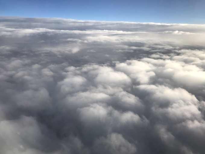 d0054704_21531371.jpg