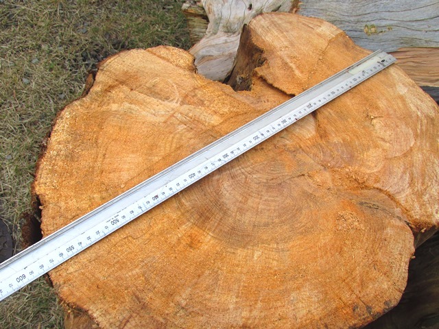 d0147804_22111480.jpg