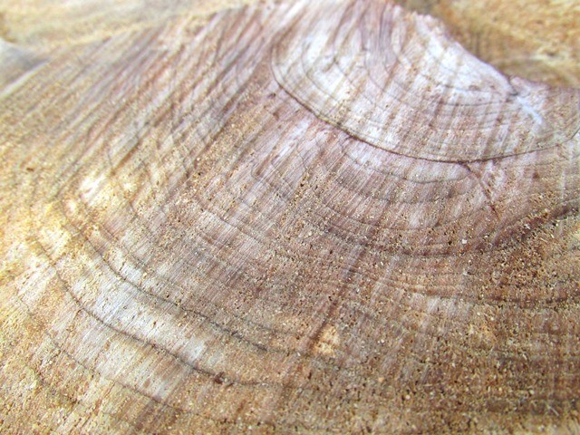 d0147804_22113008.jpg