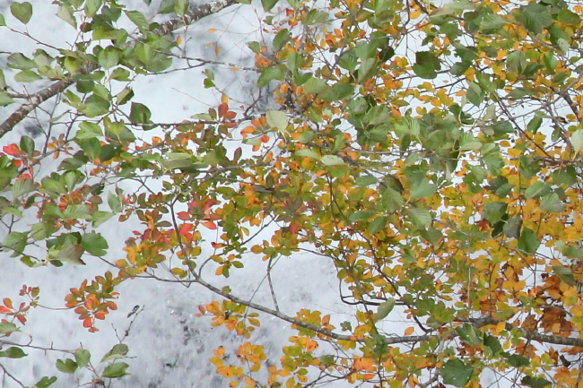 a0357206_19271464.jpg