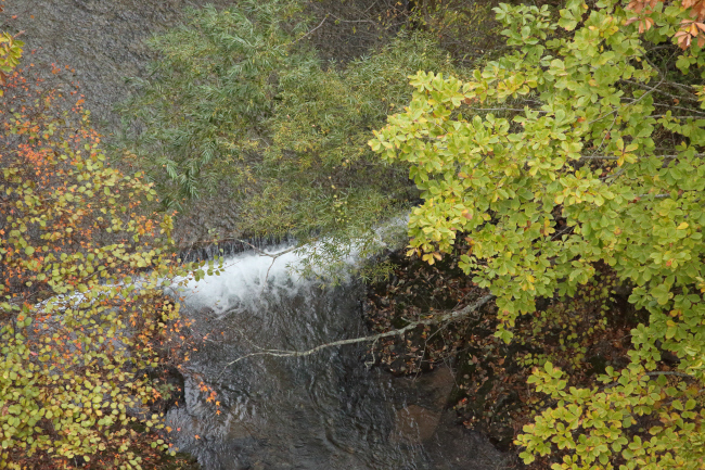 a0357206_19275054.jpg