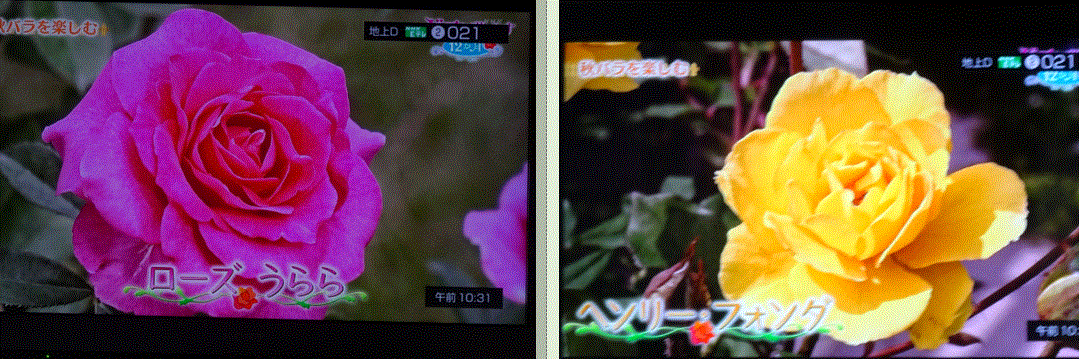 f0231709_17085120.gif