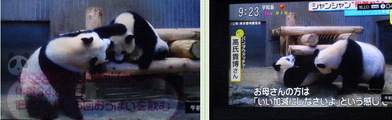 f0231709_18152746.gif
