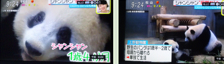 f0231709_18155151.gif