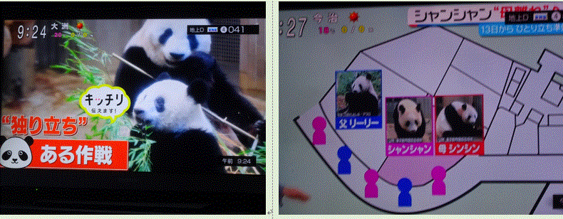 f0231709_18174129.gif