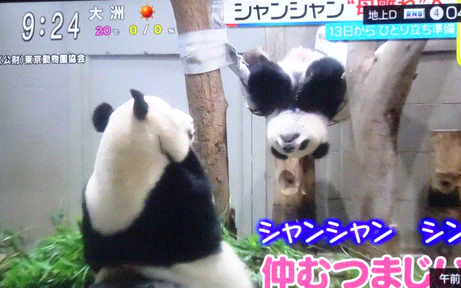 f0231709_18263212.gif