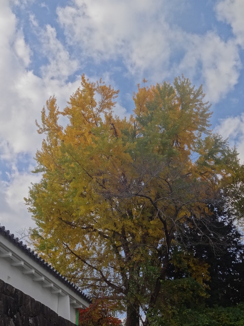 c0279611_10344618.jpg