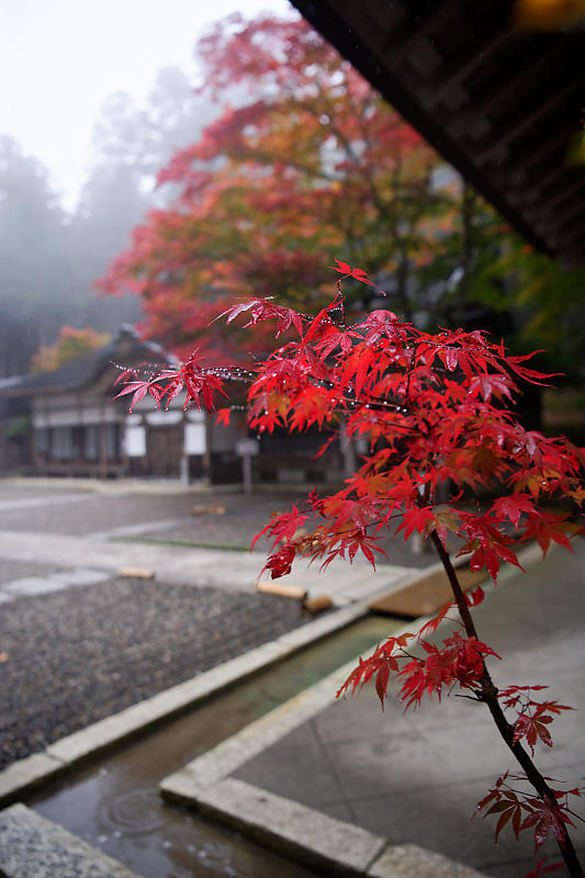 2018滋賀の紅葉・比叡山延暦寺　横川元三大師堂_f0032011_21074919.jpg